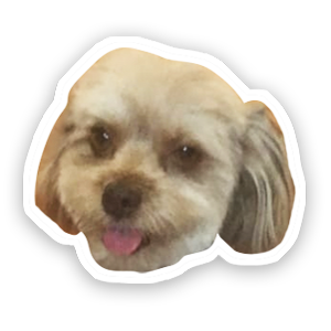 Emoji style pet.